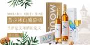 青島路易圣堡葡萄酒業(yè)有限公司海洋網(wǎng)絡簽訂網(wǎng)站設計合作協(xié)定