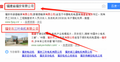 福安市三葉電機有限公司同我公司簽署網站開發(fā)事宜