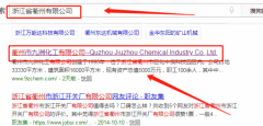 衢州市九洲化工有限公司和本公司簽約網站開發(fā)合同