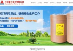 沙洋秦*化工有限公司建網(wǎng)站新一代自助建站、智能建站系統(tǒng)