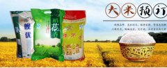 沭陽縣*源米業(yè)有限公司網(wǎng)站建設(shè)新一代自助建站、智能建站系統(tǒng)
