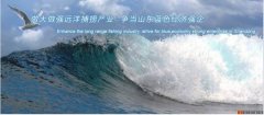 榮成市*洋漁業(yè)有限公司設計網站可視化建站作品欣賞
