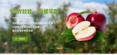 煙臺棲霞中*苗木有限公司網(wǎng)站設(shè)計(jì)H5案例作品