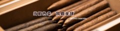 雪茄超市與我司簽訂網站建設協(xié)議