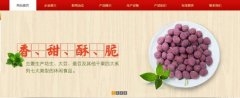 紅太*食品(榮成)有限公司制作網(wǎng)站新一代自助建站、智能建站系統(tǒng)