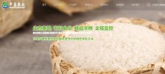 豐城市中*農(nóng)業(yè)發(fā)展有限公司網(wǎng)站建設(shè)新一代自助建站、智能建站系統(tǒng)