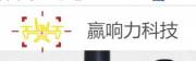 深圳市贏響力科技有限公司企業(yè)網(wǎng)站建設(shè)方案